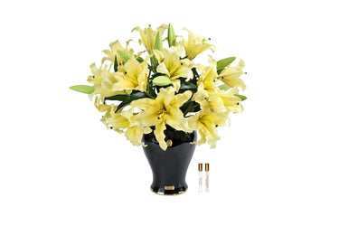 Imperial Lilies - Yellow - IMPL08 (Carton of 1)